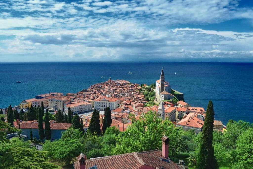 Unique Spacious Apartment With Terrace Piran Dış mekan fotoğraf