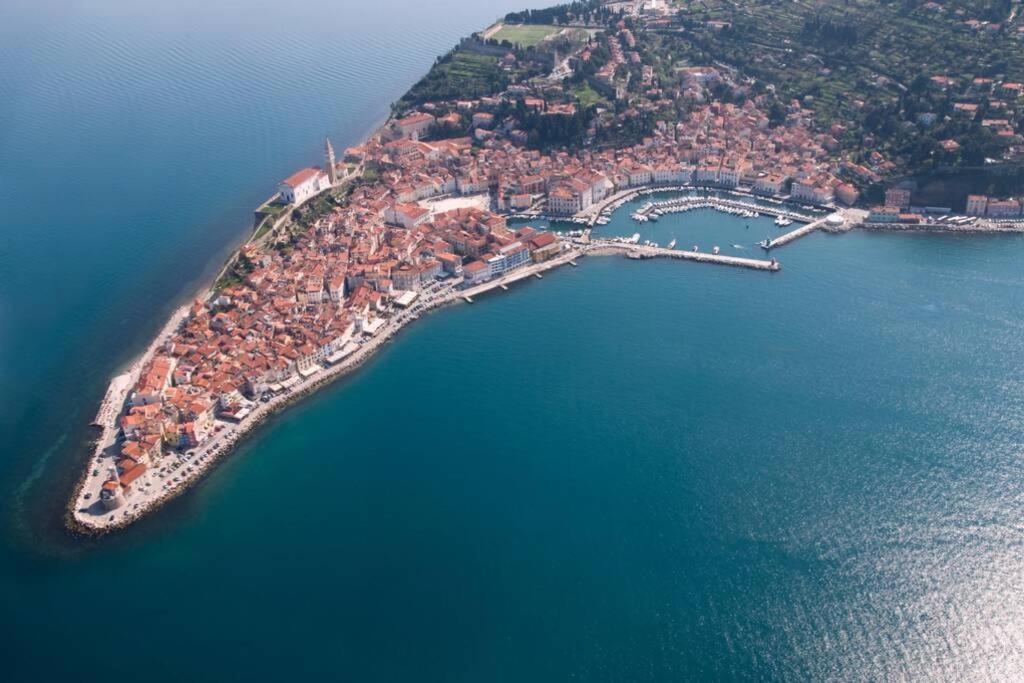 Unique Spacious Apartment With Terrace Piran Dış mekan fotoğraf